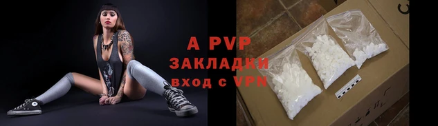 a pvp Белокуриха